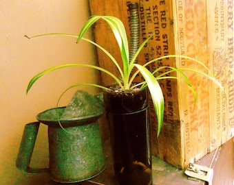 Self-Watering Wine Bottle Planter Upcycled Green Glass
