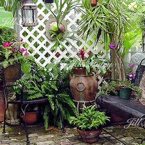 Patio Garden  -  Key West Cottage - 11x14 Mat Print