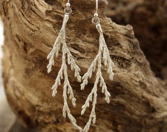Cedar Branch earrings, cedar tree, tree of life, forest jewelry, nature inspired, botanical jewelry, organic wedding, rustic earrings, wild