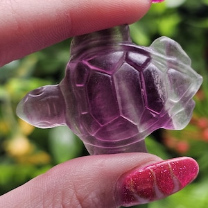 High-quality Rainbow Fluorite mini turtle carving