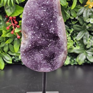 Brazil Amethyst Statement Piece on Metal Stand
