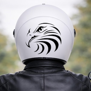 Bald Eagle Helmet - Etsy Singapore