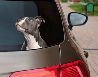 Auto Fenster Aufkleber / wasserfester Vinyl-Aufkleber / lustiger Hund