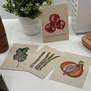 Postkarte  4er Set Gemüse I Jahreszeiten I Hand illustriert I A6 I Geburtstag Grüße Garten Postcards Natur