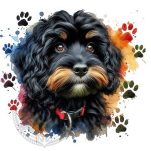 May include: A black and brown dog with curly fur is looking at the camera. The dog is surrounded by colorful watercolor splatters and paw prints.