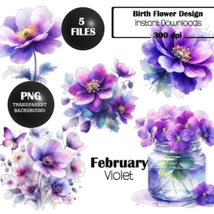 Conjunto de 5 designs de flores de nascimento de fevereiro, violeta, PNG, design, fundo transparente, sublimação, design de camiseta, design de caneca, design de cartão