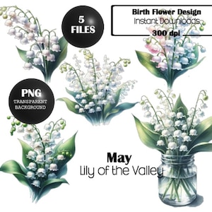 Set of 5 Birth Flower May Lily of the Valley Designs, PNG, Transparent Background, Sublimation, T Shirt Design, Mug Design, Card Design