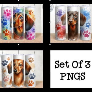 Set von 3 Dackel Wurst Hund Pfotenabdruck 20 Unzen Skinny Tumbler Wrap, Designs Tumbler Wrap, Sublimation, PNG, Instant Download