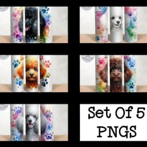 Set of 5 Poodle Dog Breed Design 20 oz Skinny Tumbler Wrap, Tumbler Wrap, Frenchy, Sublimation Design, PNG, Instant Download