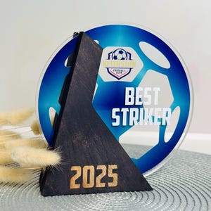 Football trophy award, Acrylic soccer trophy, Custom sport award stand, Unique soccer best team prize, Memento plaque
