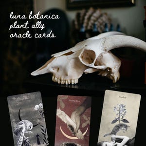 Baraja y libro de cartas del oráculo del ritual lunar de la planta aliada de Luna Botanica