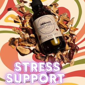 May include: A brown glass bottle of Reishi Tincture from Third Great Farm, with a black dropper, surrounded by dried mushrooms. The words "Stress Support" are in a purple neon font at the bottom, set against a retro-style background.