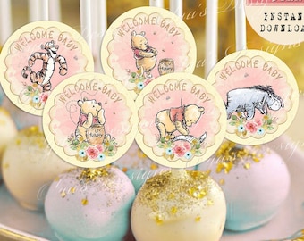 Classic Winnie the Pooh Cake Toppers, Winnie the Pooh Welcome Baby Shower, Pooh Baby Shower Tags, Winnie Baby Shower Decor, Printable P03