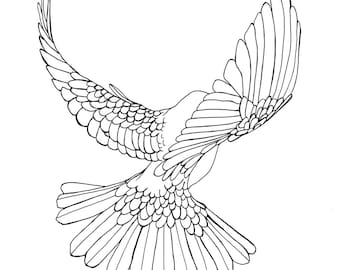 Fly Free - Bird in Flight Colouring page