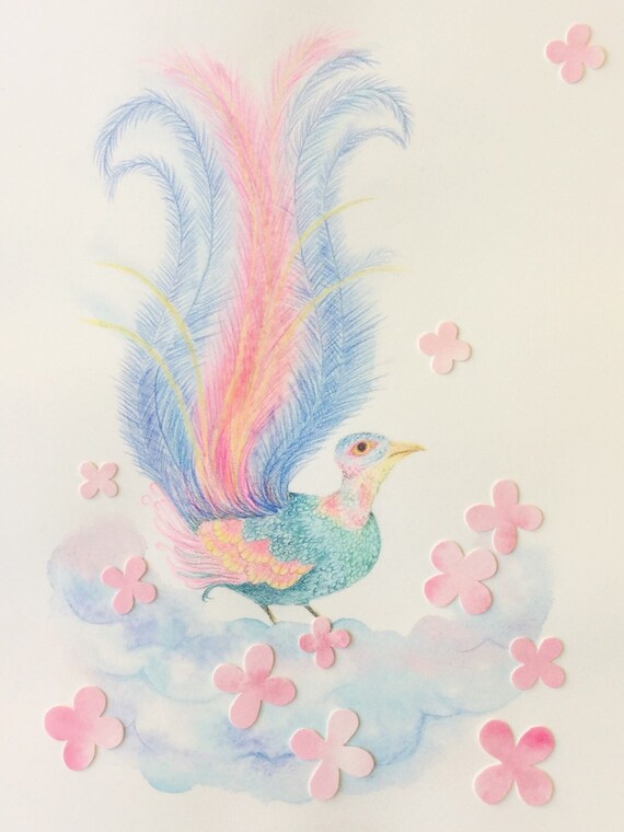 Magnifique Oiseau Lyre Coloré