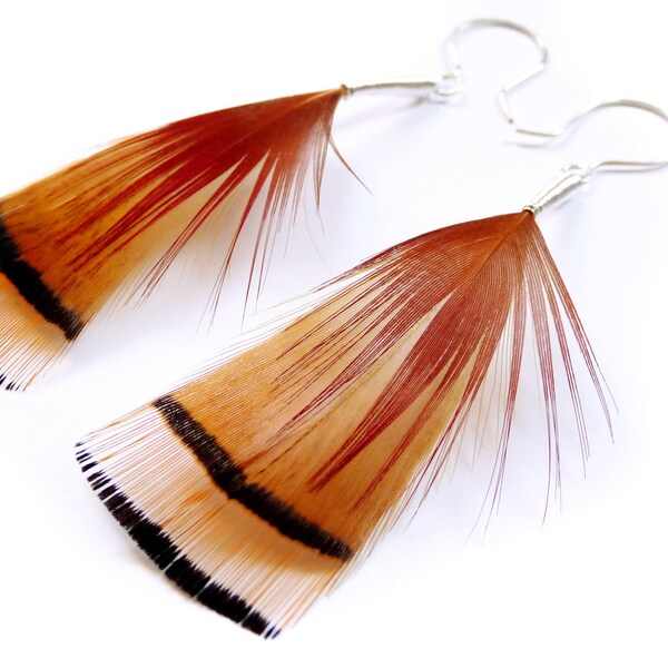 Natural Feather Earrings in Burnt Orange, Red and Black