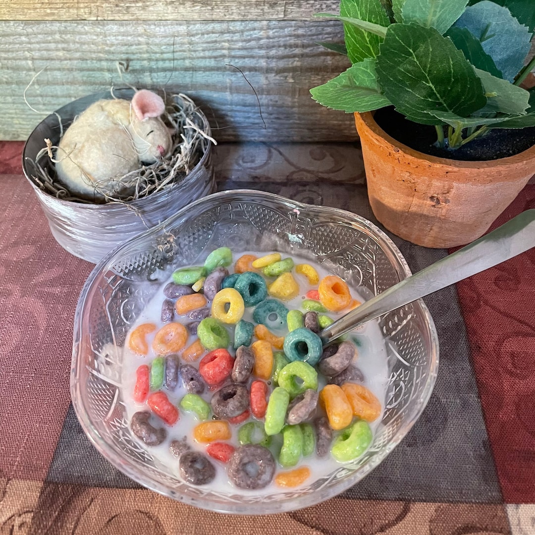 Cereal Lightweight Plastic Bowl Fruit Loops Fake Food Staging Photo ...