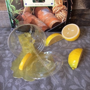 Spilled Lemonade Fake Food Photo Prop - Etsy Singapore