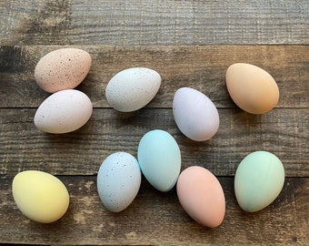 Egg Hand Colored Plastic Choose Color Chicken Size Fake Food Staging Photo Prop