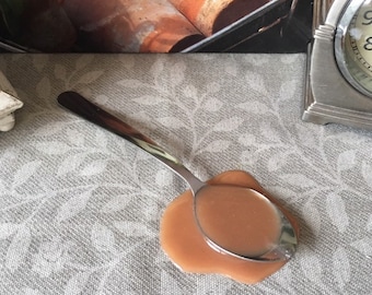 Choose Coffee On a Teaspoon With Cream or Black Fake Spilled Food Photo Prop