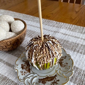 Choose Your Favorite Candy Apple Fake Food Photo Prop