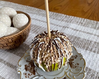 Choose Your Favorite Candy Apple Fake Food Photo Prop