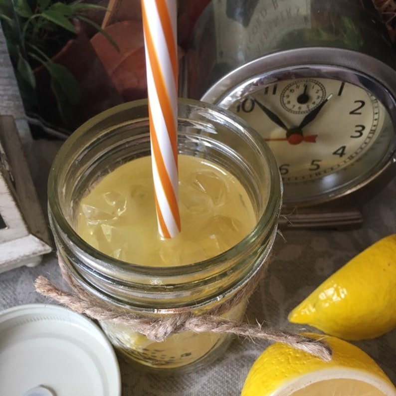 Lemonade in a Mason Jar Fake Drink Photo Prop Etsy
