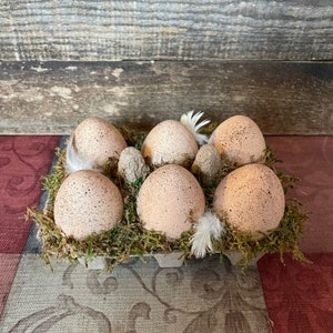 Eggs In a Carton You Choose Artificial Fake Food Staging Photo Prop