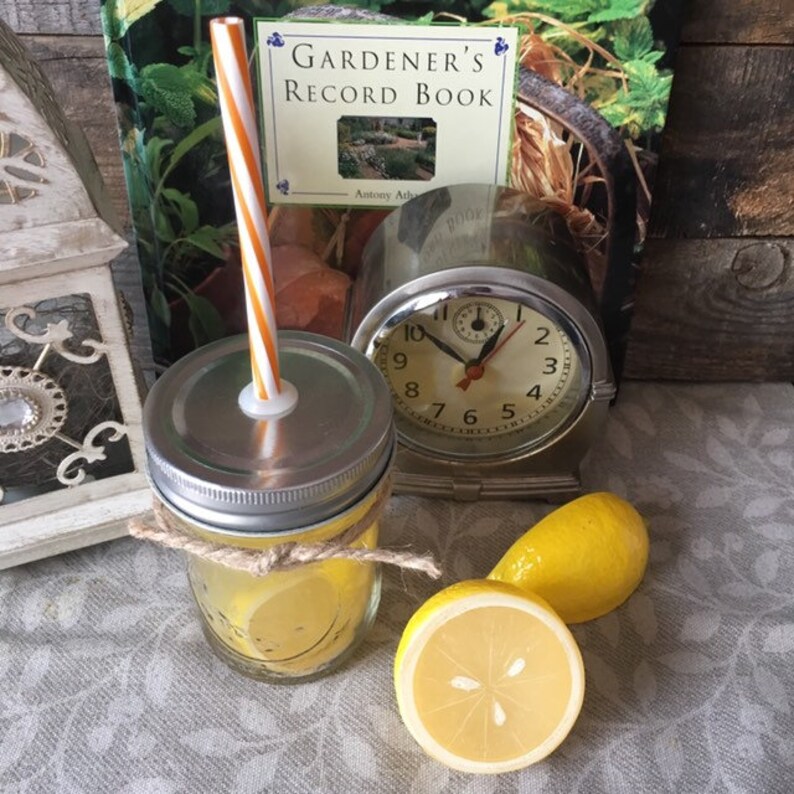 Lemonade in a Mason Jar Fake Drink Photo Prop Etsy