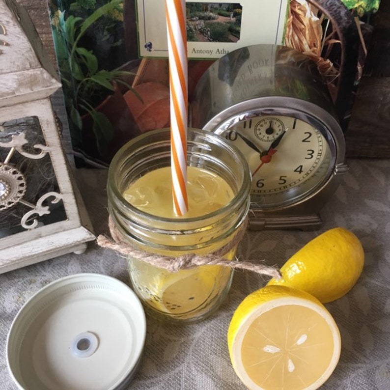 Lemonade in a Mason Jar Fake Drink Photo Prop Etsy