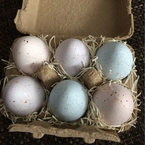 Choose Eggs In a Carton 6 Handpainted Pastels Colors Fake Food Photo Prop