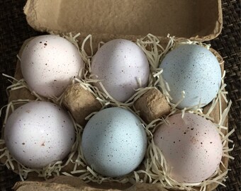 Choose Eggs In a Carton 6 Handpainted Pastels Colors Fake Food Photo Prop