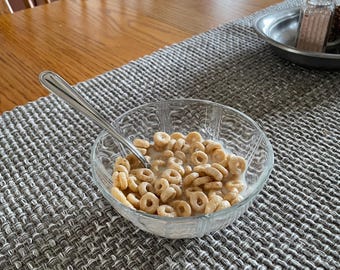 Cereal in a Glass Bowl Fake Food Staging Photo Prop