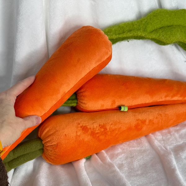 Carrot Pillow medium
