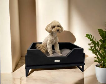 Puede incluir: Una cama para perros de madera negra con un cojín gris. Un perro pequeño de color marrón claro está sentado en la cama. La cama tiene un marco elevado y patas.
