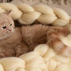 May include: A light brown cat curled up in a white knitted basket. The basket is made of thick, fluffy yarn and has a braided design.