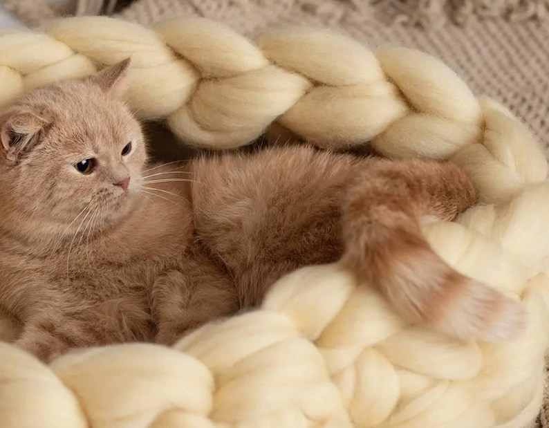 May include: A light brown cat curled up in a white knitted basket. The basket is made of thick, fluffy yarn and has a braided design.