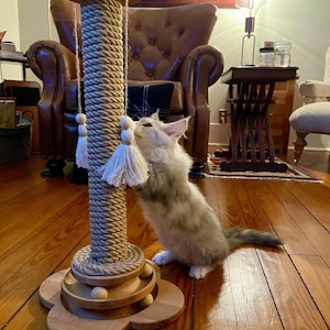 Può includere: Un gattino grigio e bianco soffice gioca con un alto tiragraffi per gatti in corda naturale con una base in legno e frange bianche pendenti. Il tiragraffi si trova in un soggiorno con una poltrona in pelle e un tavolino in legno.