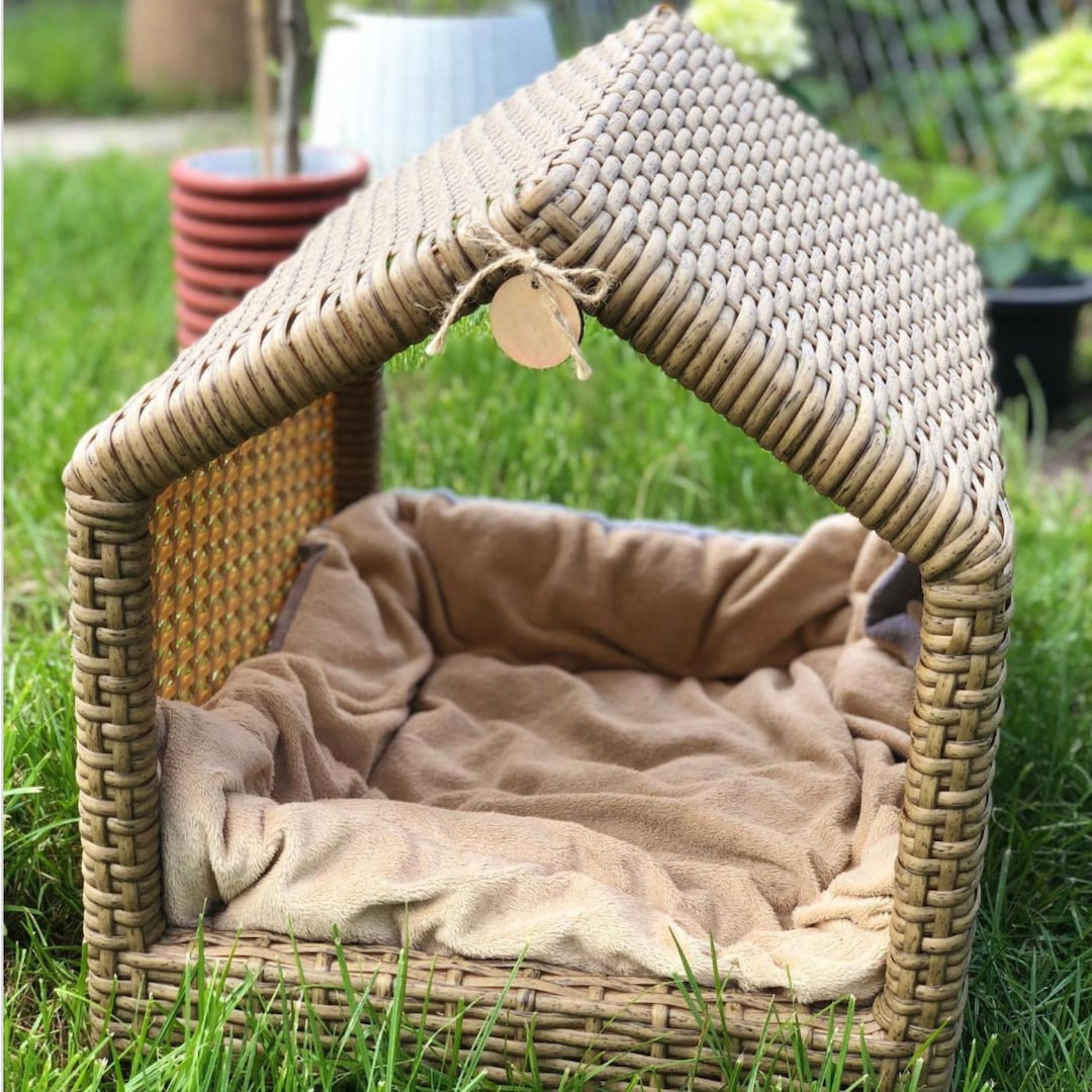Beautiful view of Modern Rattan Dog House Design