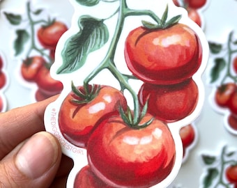Red Tomato Sticker | Vinyl Sticker of Tomato on Vine for Laptops & Water bottles