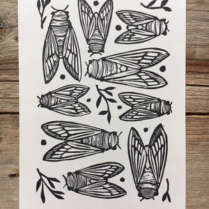 CICADAS Block Print of Cicadas on Paper image 2