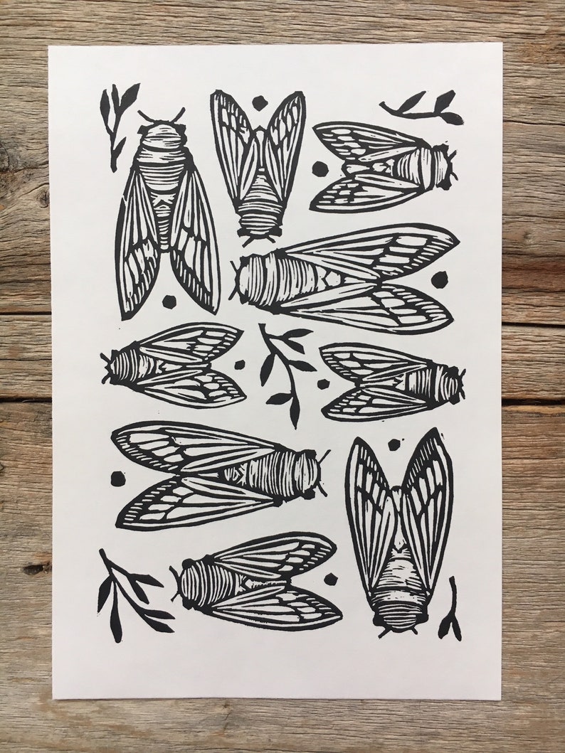 CICADAS Block Print of Cicadas on Paper image 2