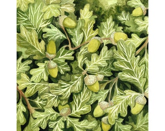 En el roble / Impresión Giclée de una ilustración original en gouache de bellotas y hojas de roble