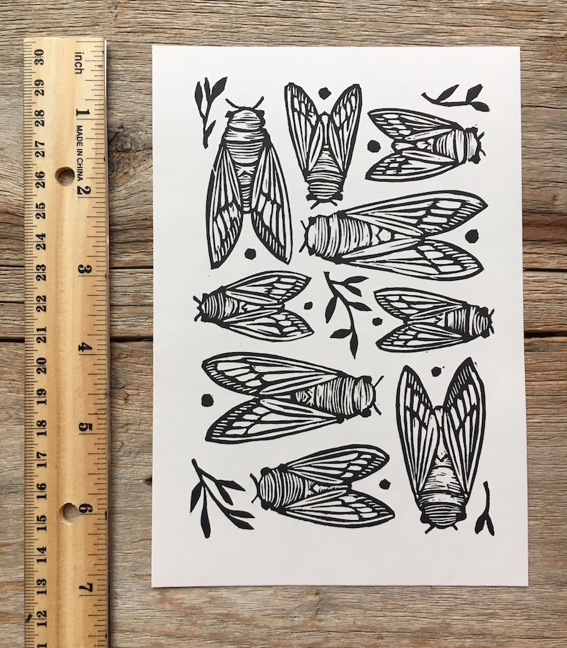 CICADAS Block Print of Cicadas on Paper image 3