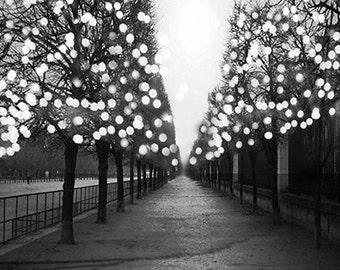 Paris Photography, Paris Black & White Photography, Paris Fairy Lights Tuileries, Paris Black and White Prints, Paris Tuileries Night Lights