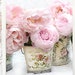see more listings in the SHABBYCHIC NOTE CARDS  section