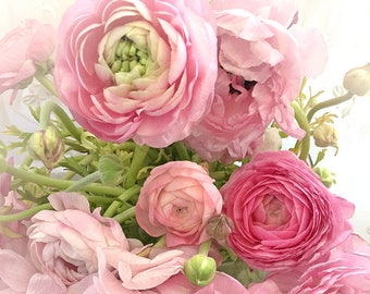 Ranunculus Flowers, Pink Floral Prints, Shabby Chic Decor, Pink Flower Photos, Ranunculus Flower Prints, Pink Ranunculus Flowers, Floral Art