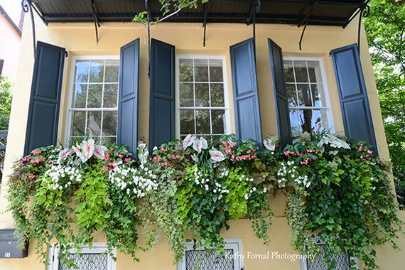 Charleston Window Box Charleston Prints Charleston French Etsy