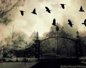 Gothic Surreal Photography, Haunting Surreal Gate & Ravens, Ravens and Crows Gate Wall Prints, Surreal Gate Print, Spooky Gate Ravens Print