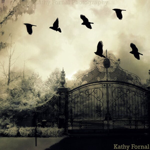 Gothic Surreal Photography, Haunting Surreal Gate & Ravens, Ravens and Crows Gate Wall Prints, Surreal Gate Print, Spooky Gate Ravens Print